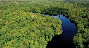 Pengertian Suaka Margasatwa Menurut Ahli Lengkap Indonesiastudents Com