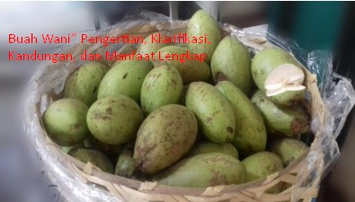 Buah Wani