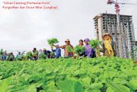 Pengertian Urban Farming