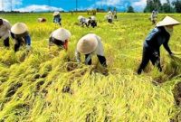 “Sistem Pertanian Tradisional” Pengertian, Kekurangan, dan Kelebihan