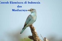 Ekowisata di Indonesia