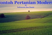 Contoh Pertanian Modern Di Indonesia dan Dunia