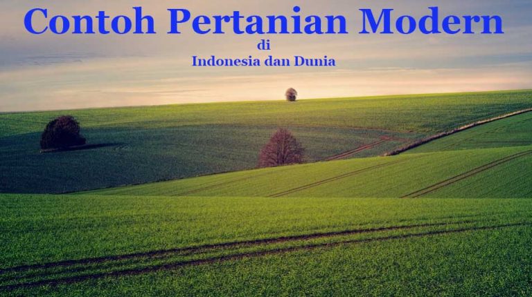 √ 15 Contoh Pertanian Modern di Indonesia dan Dunia Saat Ini