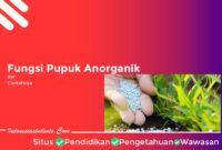 Manfaat Pupuk Anorganik