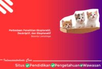 Perbedaan Penelitian Eksploratif, Deskriptif, dan Eksplanatif